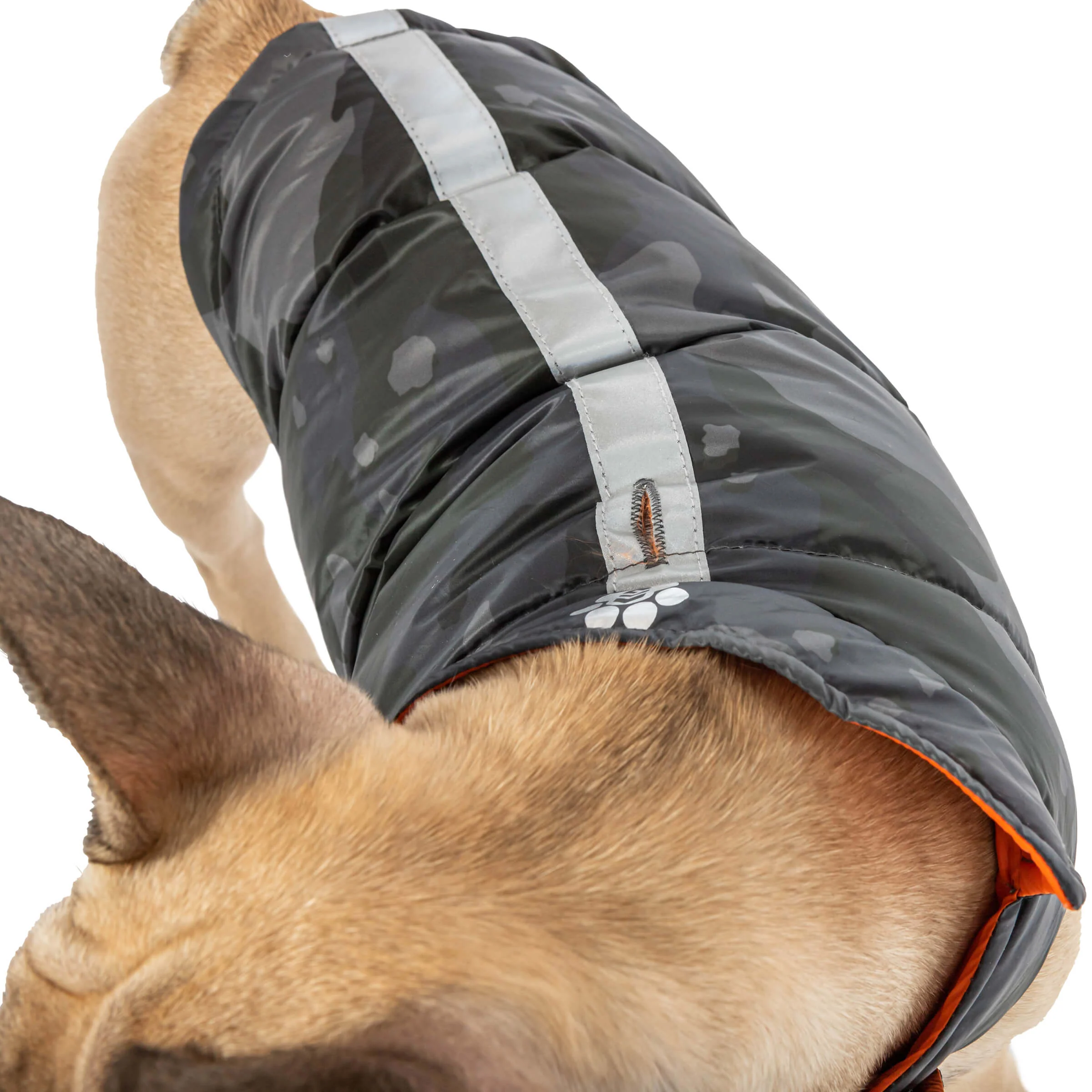 Dog Down Reversible Mock Jacket - Image 14