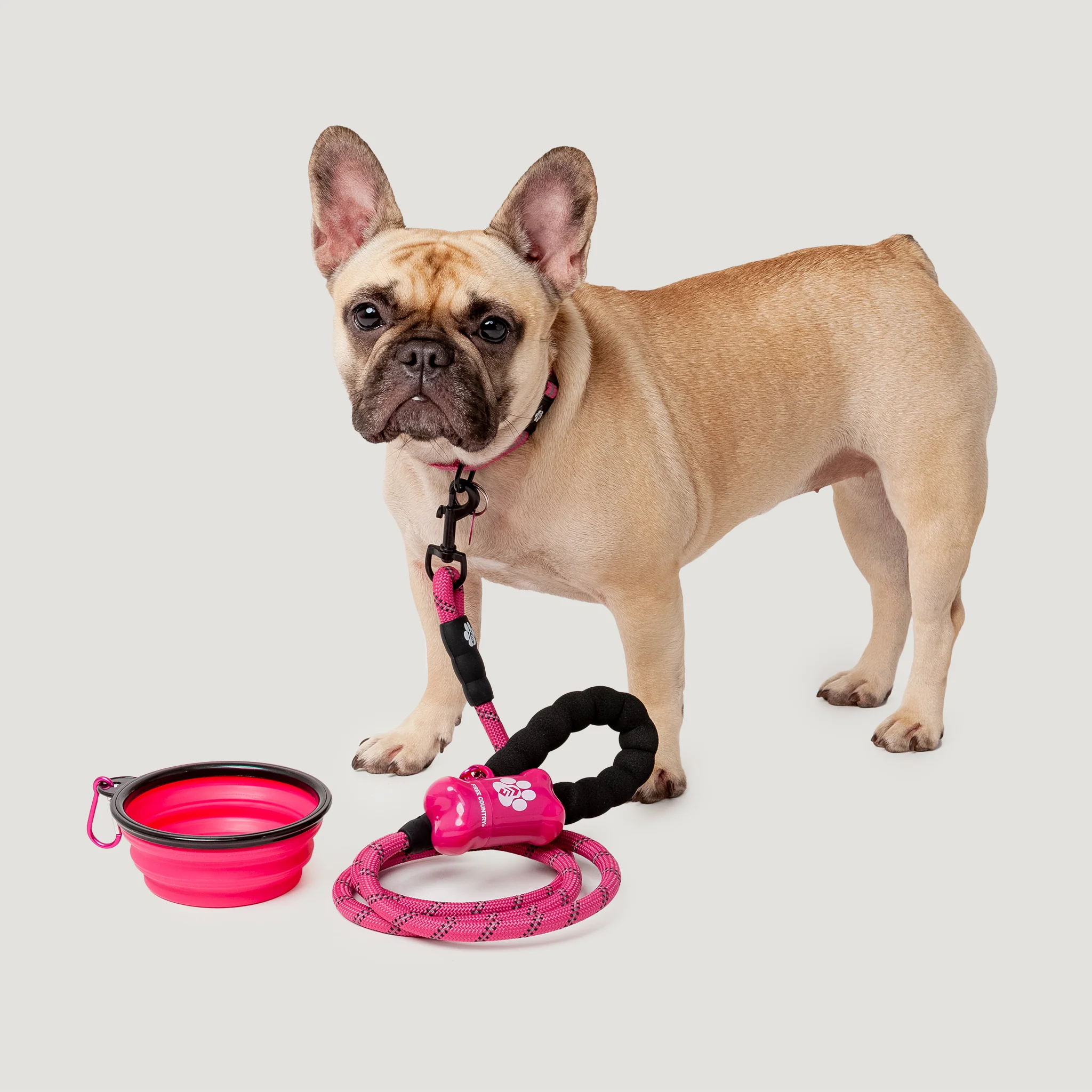 Dog Essentials Set - Image 3