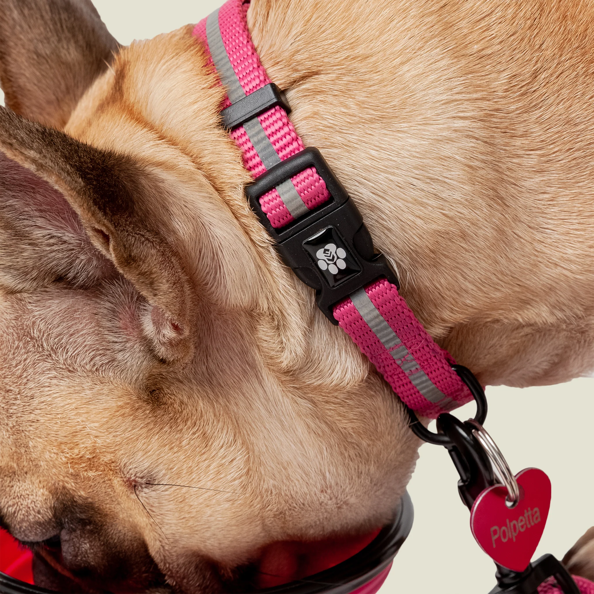 Dog Essentials Set - Image 4