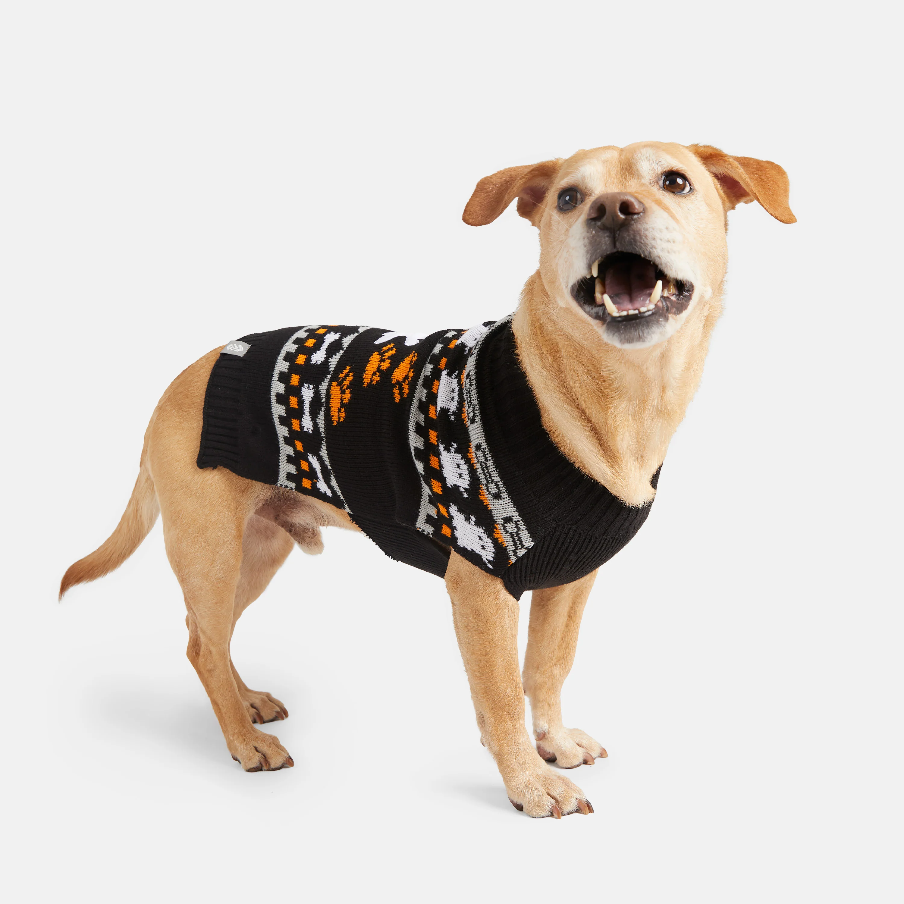 Dog Halloween Sweater - Image 3