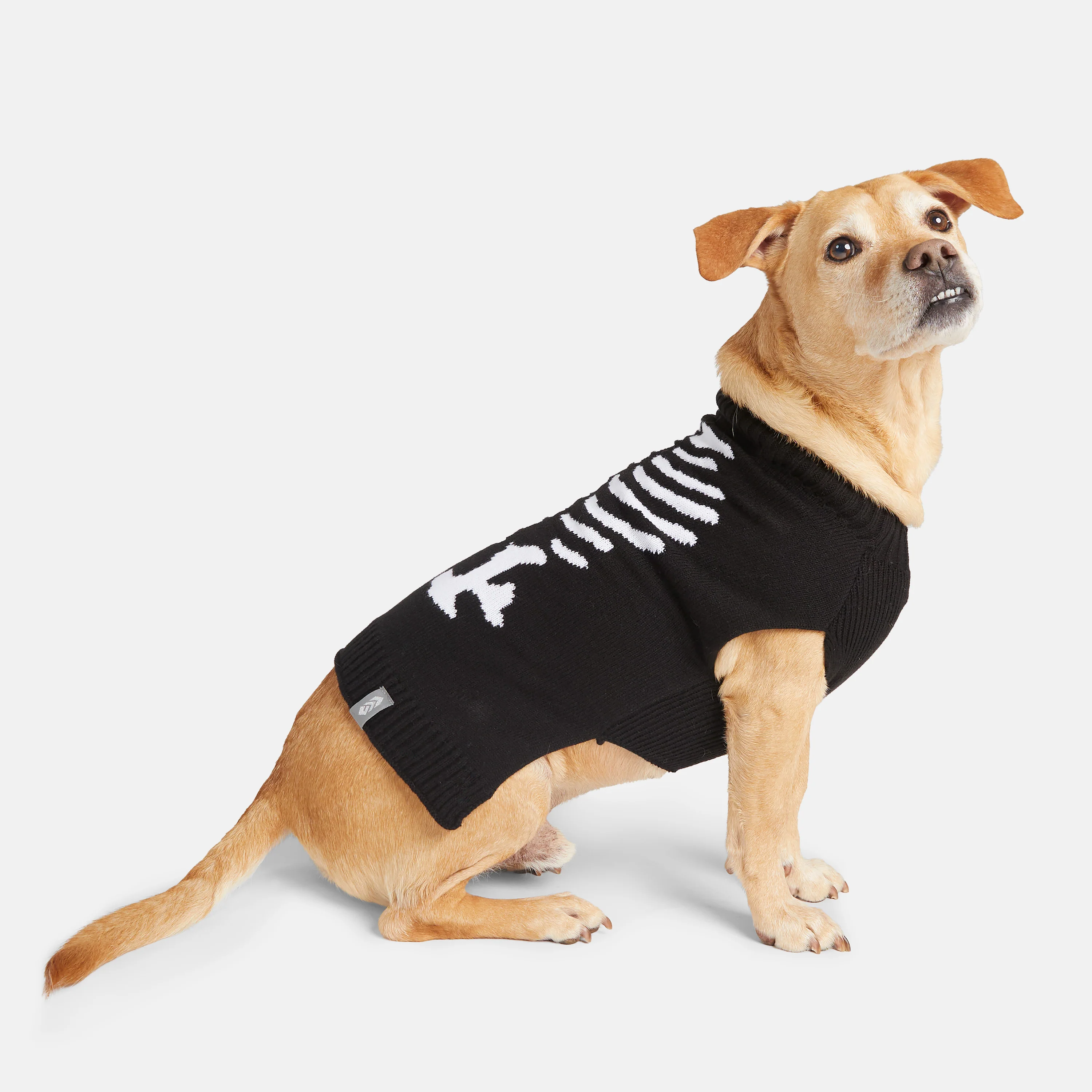 Dog Halloween Sweater - Image 5