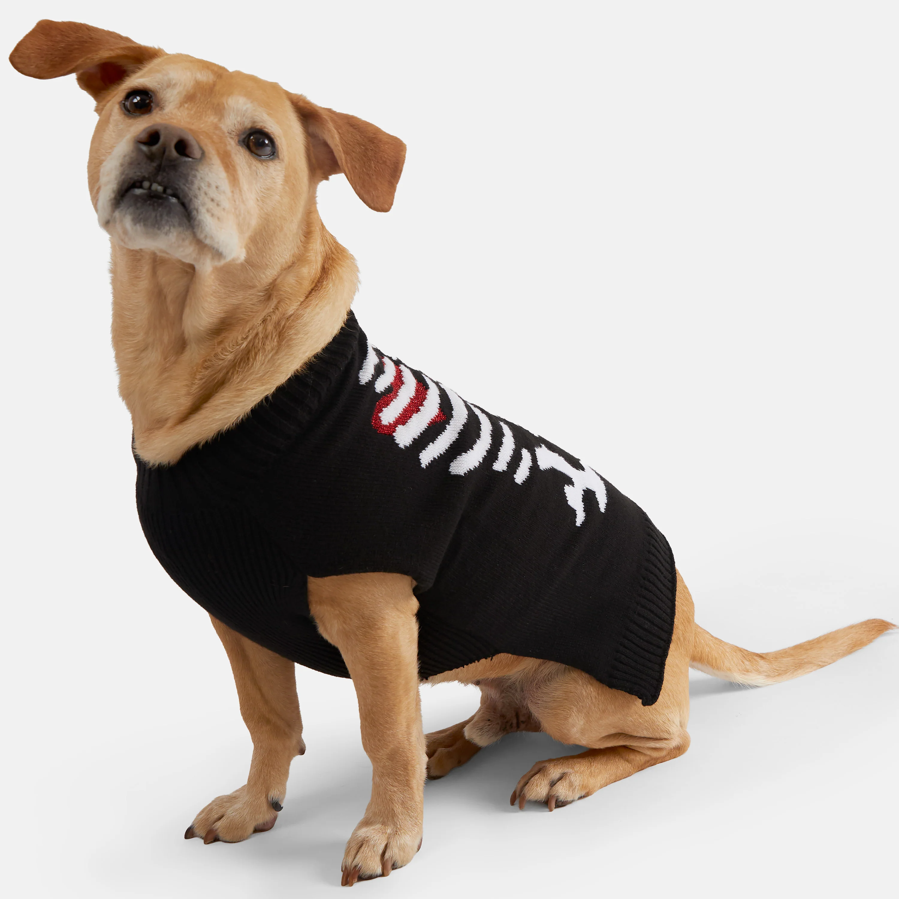 Dog Halloween Sweater - Image 7