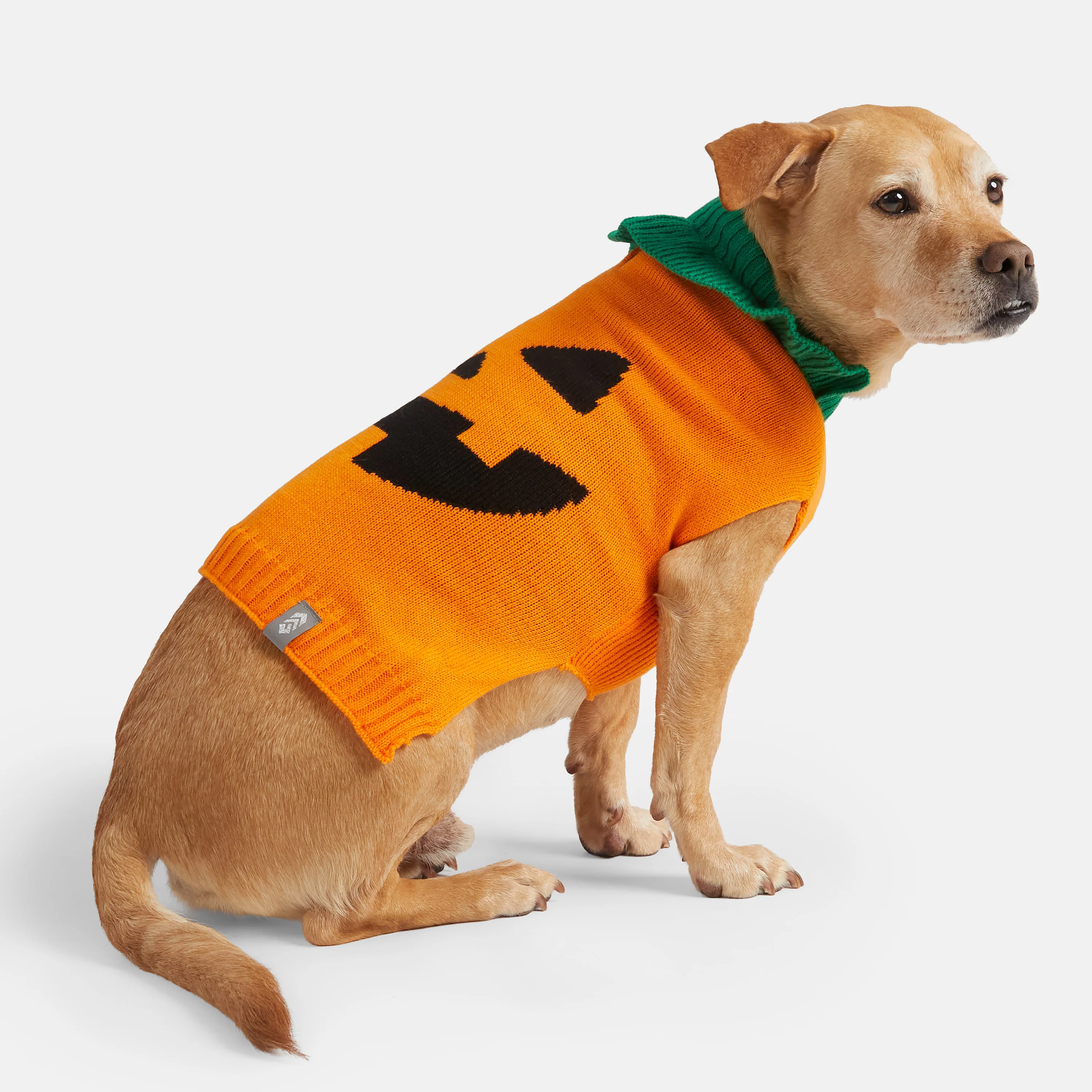 Dog Halloween Sweater - Image 9