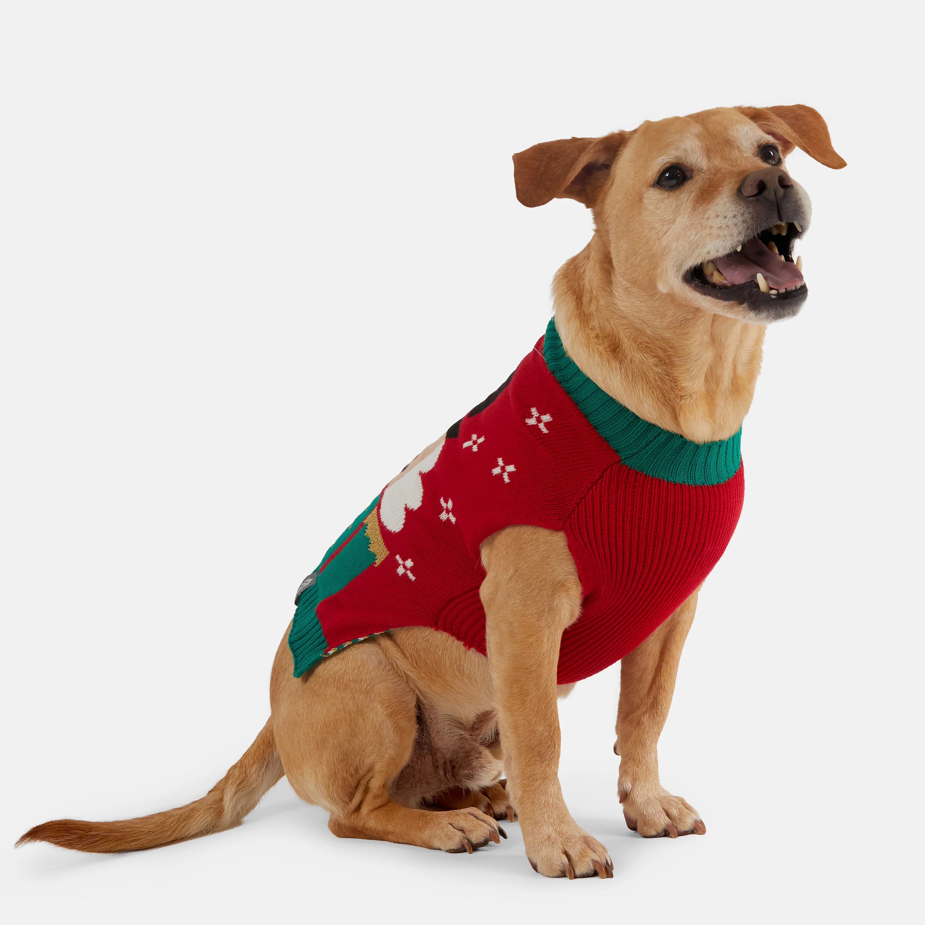 Dog Holiday Sweater - Image 11