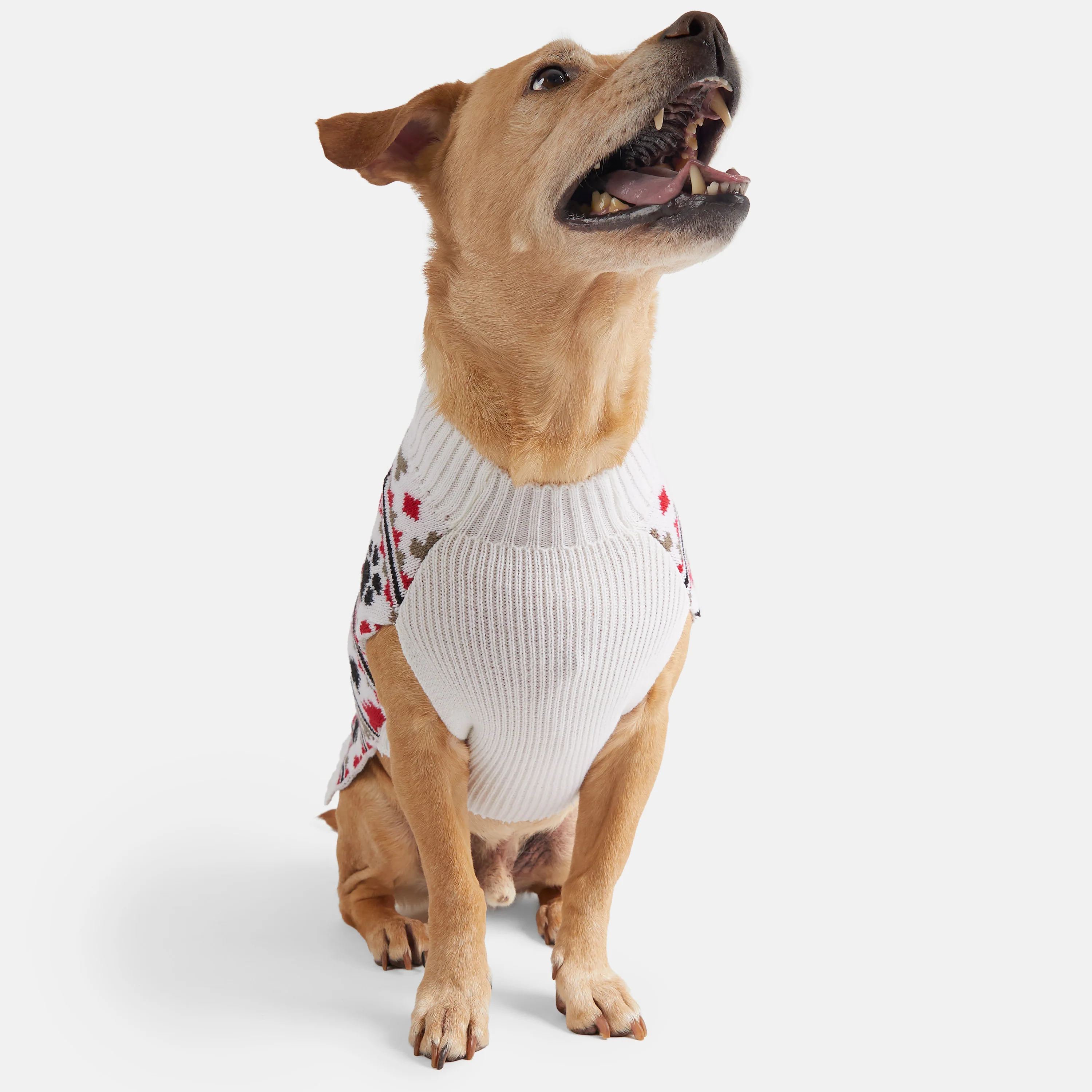 Dog Holiday Sweater - Image 3