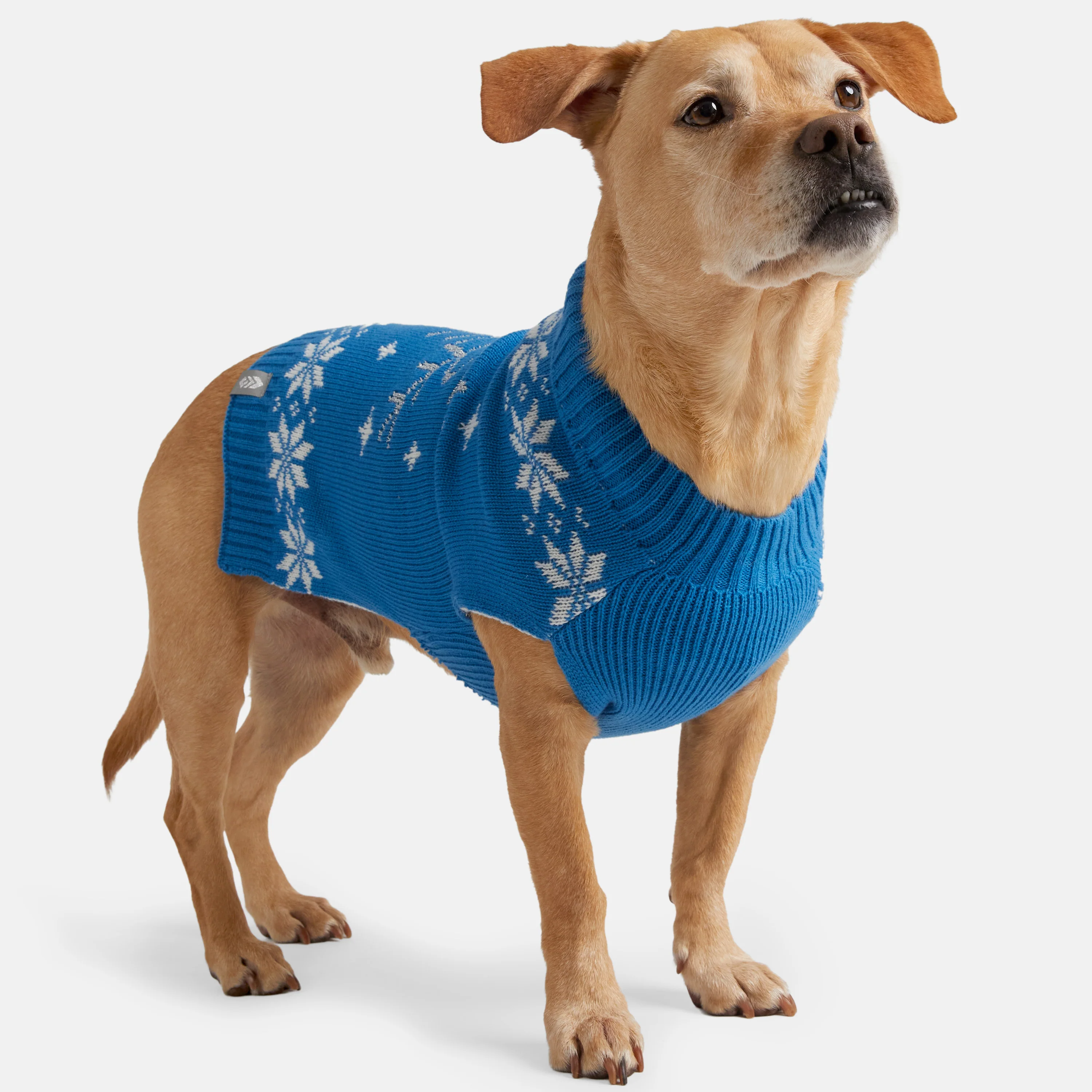 Dog Holiday Sweater - Image 5