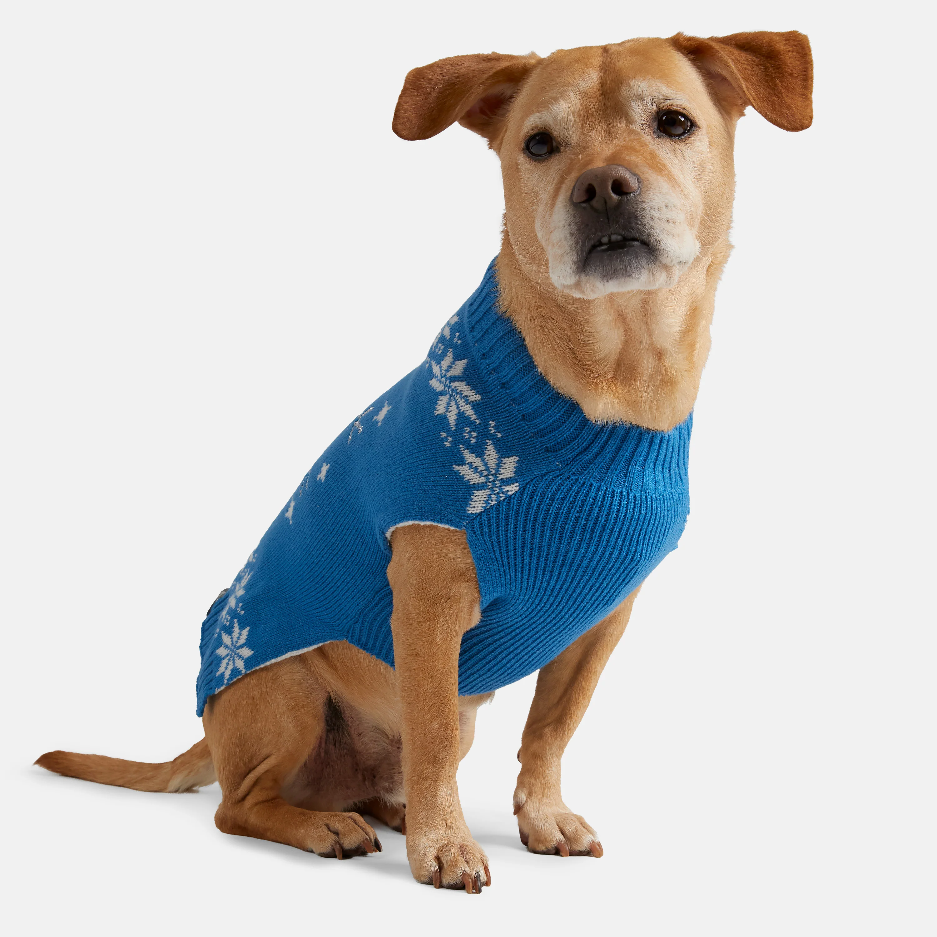 Dog Holiday Sweater - Image 7
