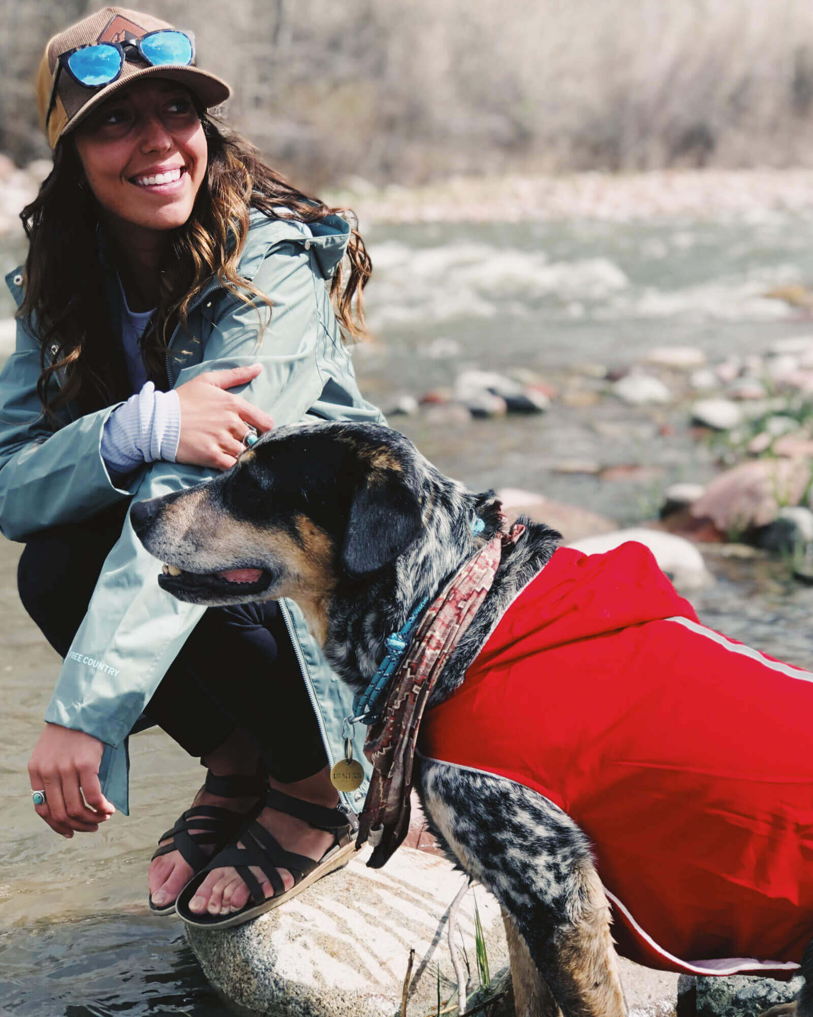 Dog Raincoat - Image 3